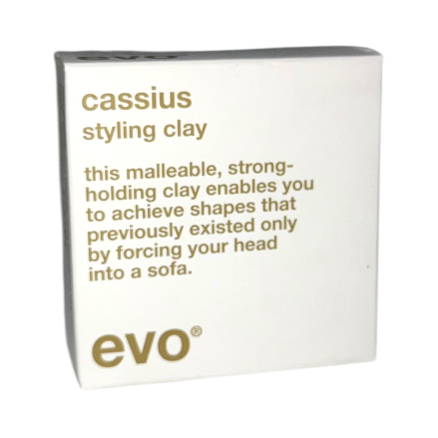 Evo Cassius Styling Clay 3.1 oz